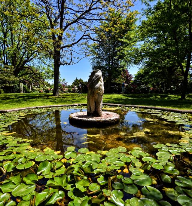 Fountain with lily pads on water and statue in middle