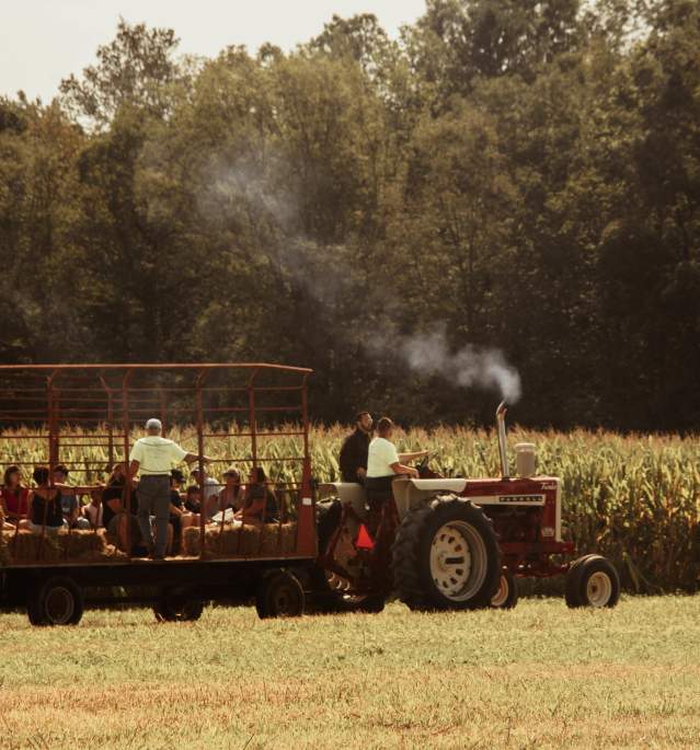 People riding tractor through field