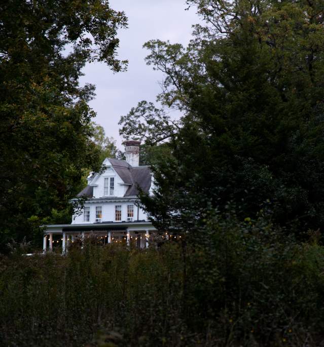 House with hanging lights among trees