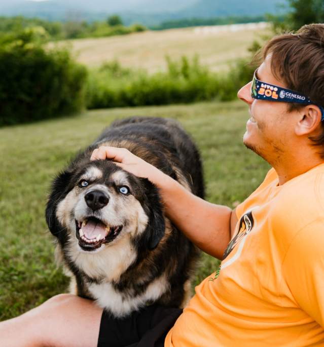 Man and Dog Watching Eclipse