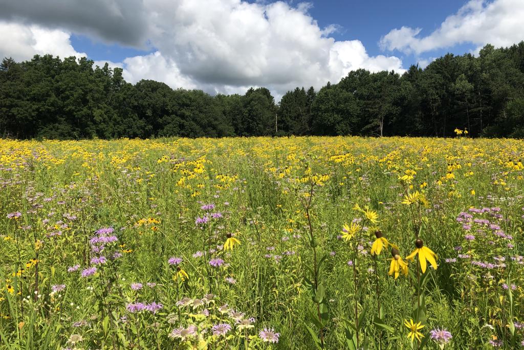 Anderson Farm County Park