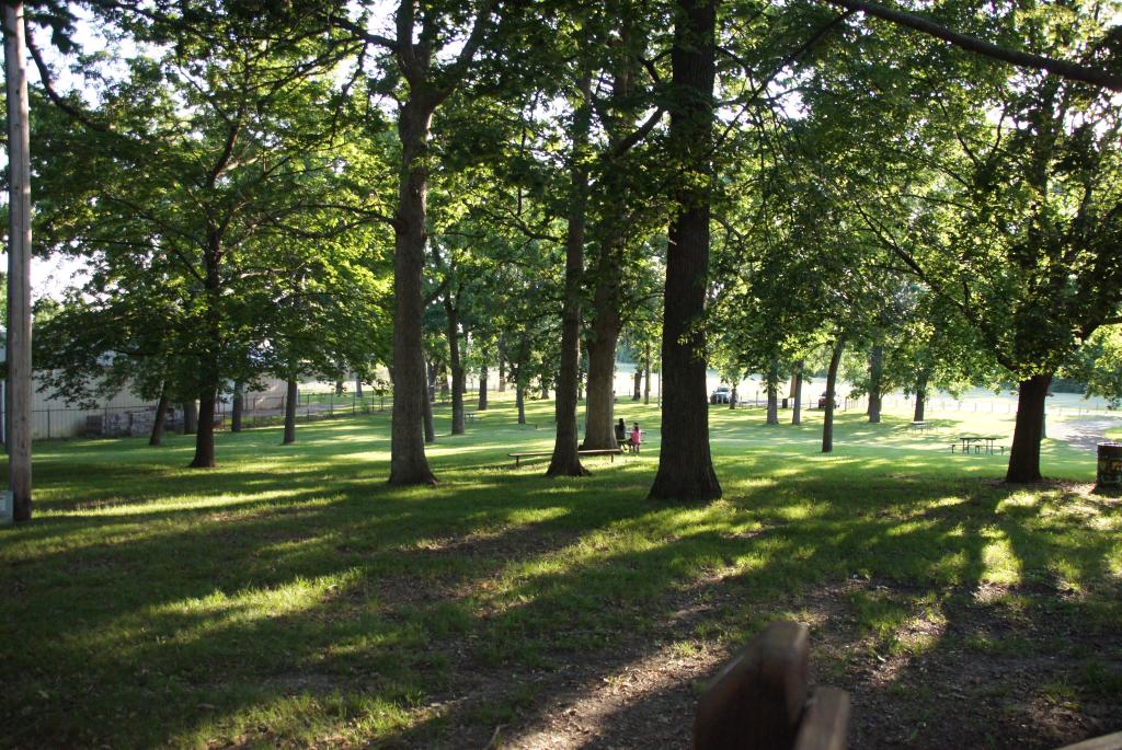 Sun Prairie Dream Park - Green space