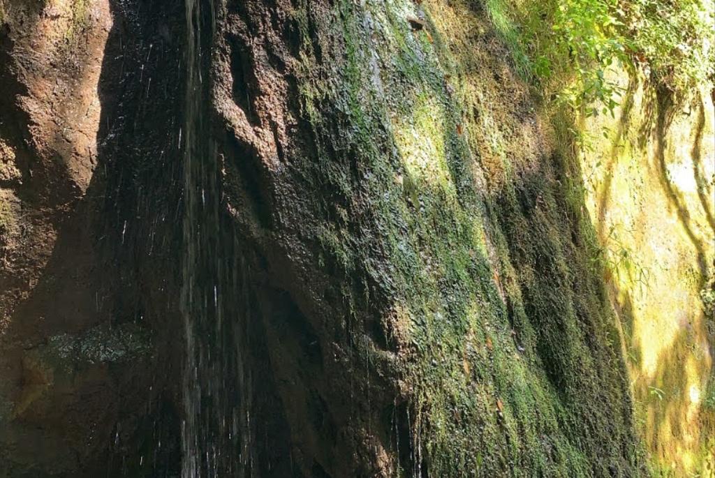 Stephens Falls at Governor Dodge State Park