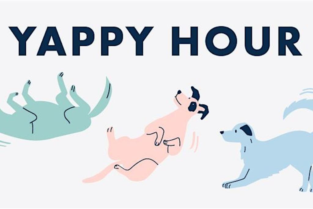 Yappy Hour at Hilldale Madison, WI