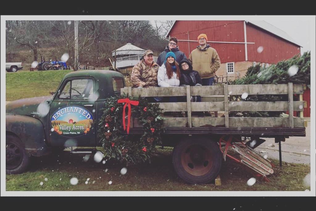 christmas tree- truck