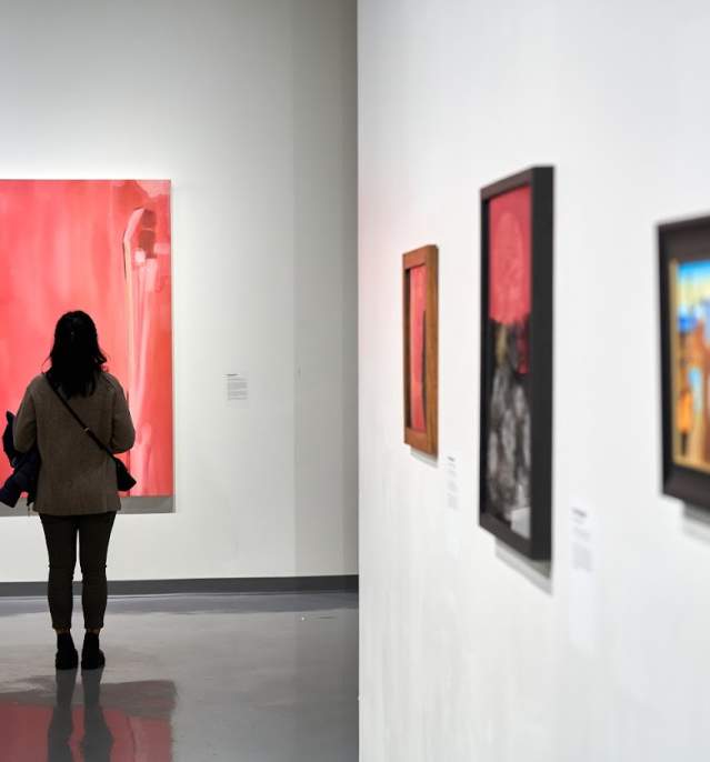 Spartanburg Art Museum patron