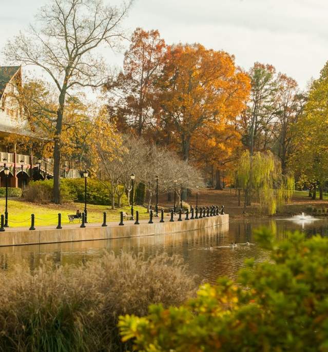 Fall at Cleveland Park