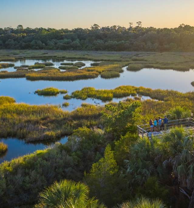 A family searches for native wildlife atop a viewing platform on Little St. Simons Island, GA