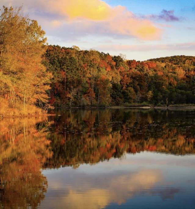 Fall In Love With Person County!