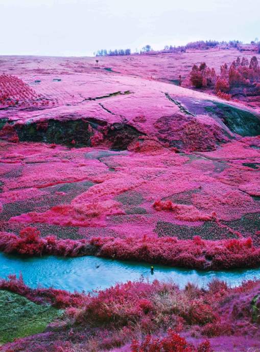 The SuperNatural 2.0