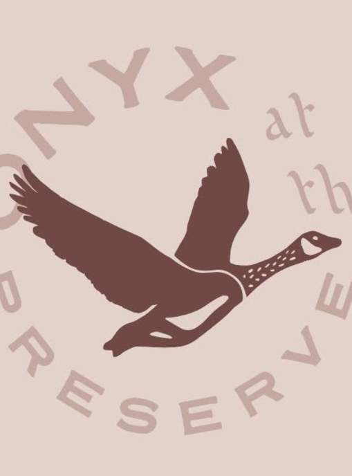Onyx at the Preserve