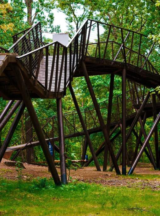 Coler Mountain Bike Preserve