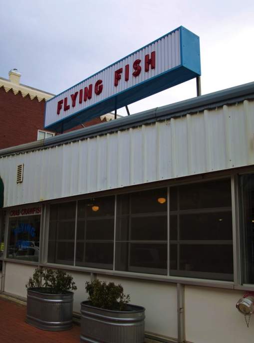 Flying Fish, The