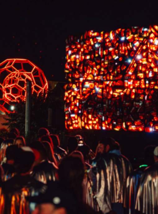 Touki Delphine | FIREBIRD