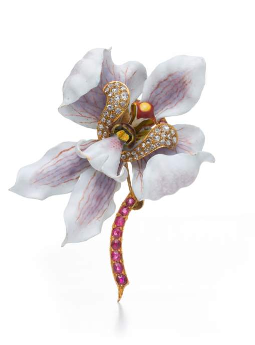 Nature Adorned: The Artistry of Tiffany & Co. and the American Imagination