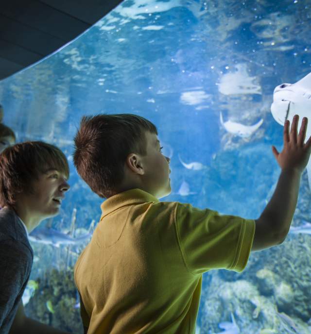 Omaha's Henry Doorly Zoo and Aquarium