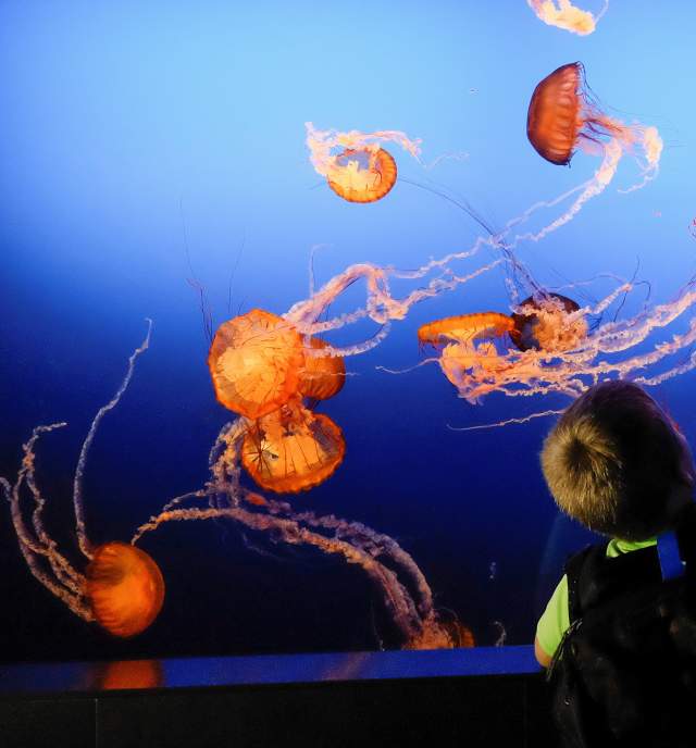 15 Best Family Vacations in the Midwest