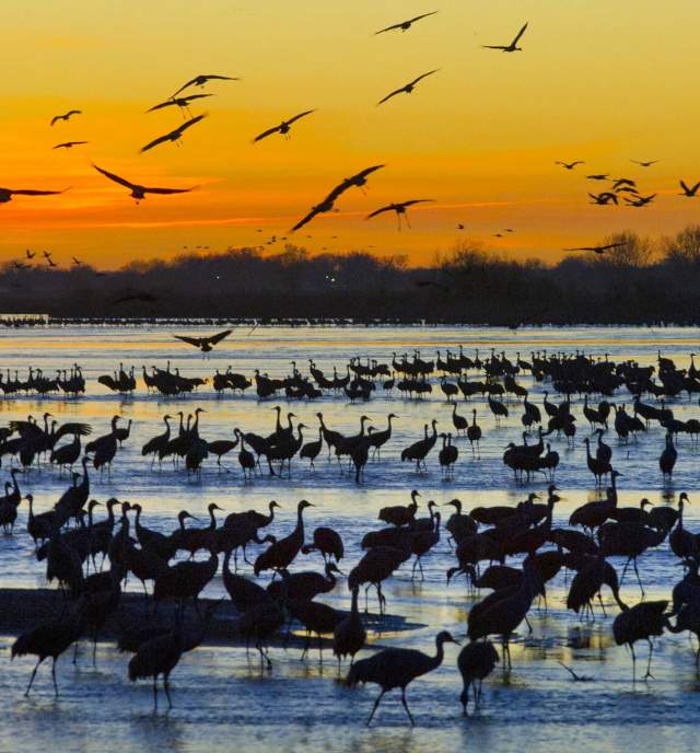 Springtime in Nebraska