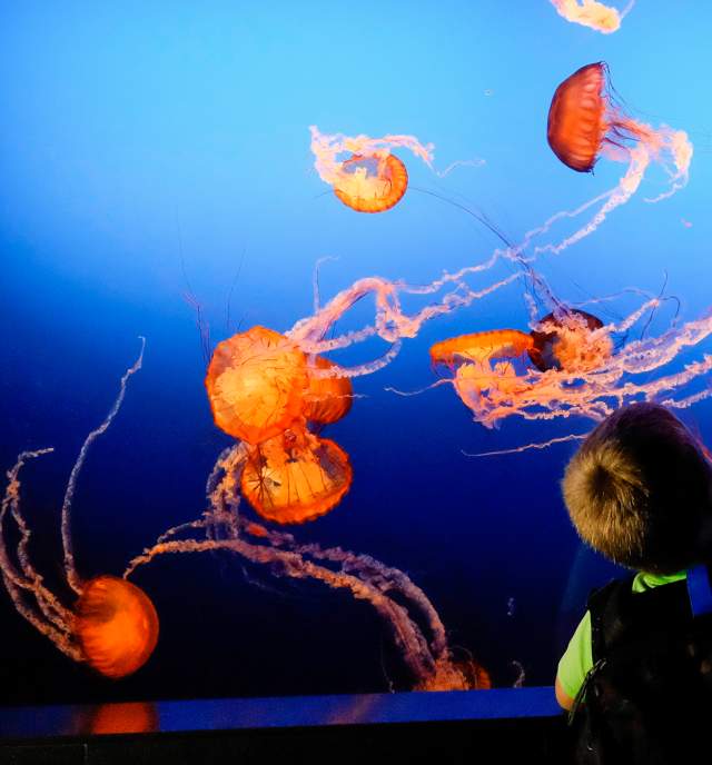 15 Best Family Vacations in the Midwest