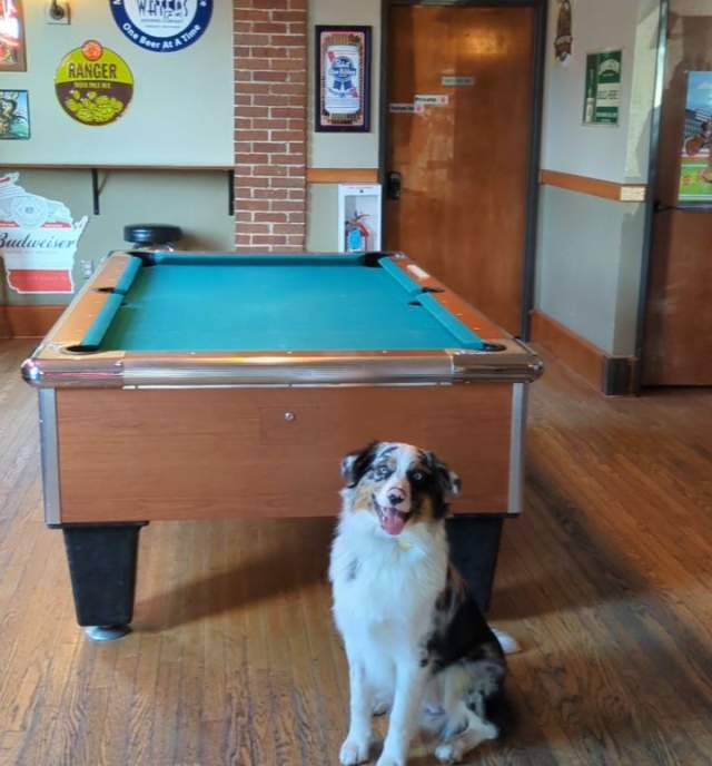 Phil at Pool