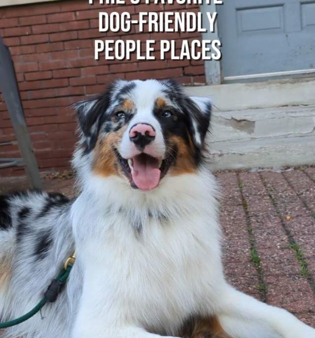 Phil's Fav Human Friendly Places