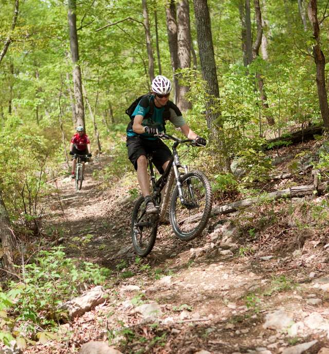 Male mountain biking through the forest