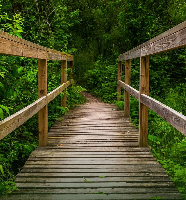 Bridge Trail Codorus State Park