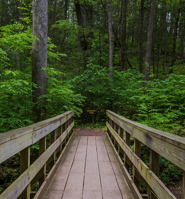 A bridge leading to a green wooded area in the Pocono Mountains