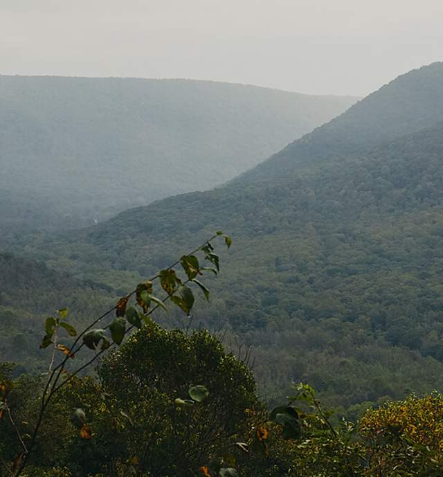 Scenic overlook in the Laurel Highlands