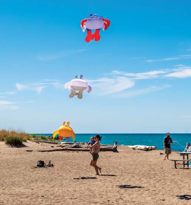 Kids and adults on a beach flying kites on a sunny day