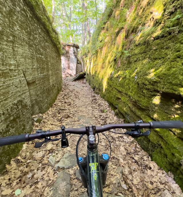 Point of view of a bike on an outdoor trail