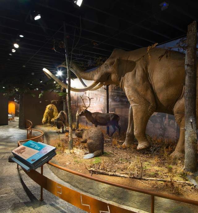 Exhibit at Museum of York County
