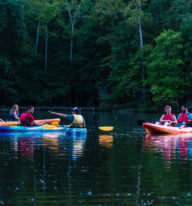 kayak tour