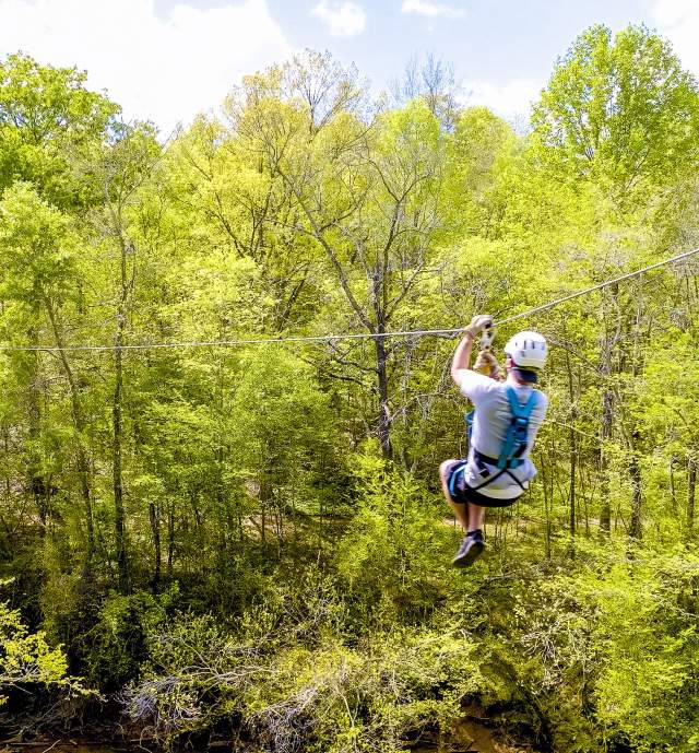 Person with helmet ziplinging through the trees