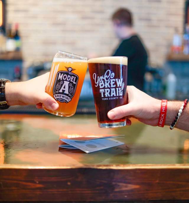 Two arms cheersing beer with a bar in the background