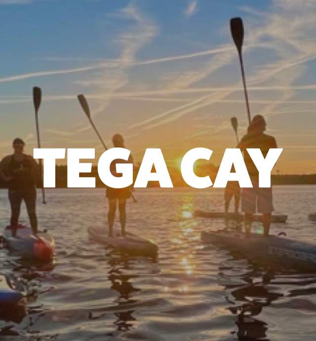 Tega Cay Header