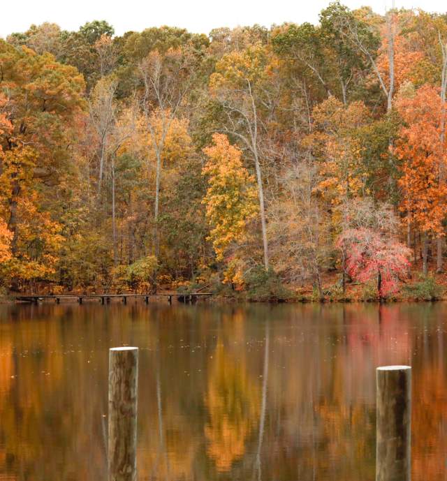 2023 ASC Greenway Fall