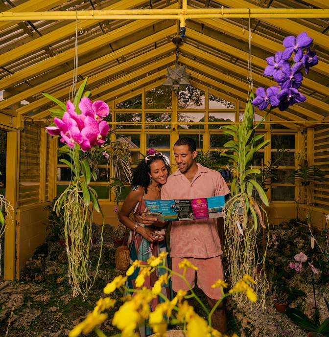 2026 Brand Campaign Bonnet House