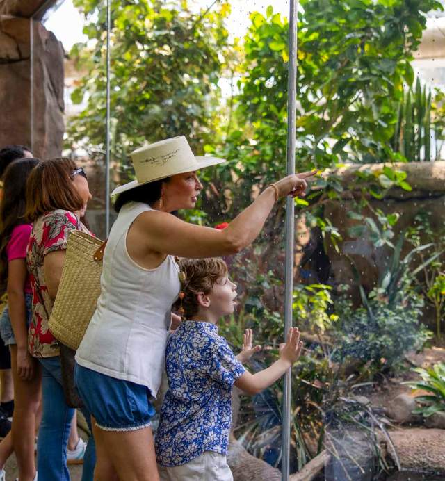 Moody Gardens