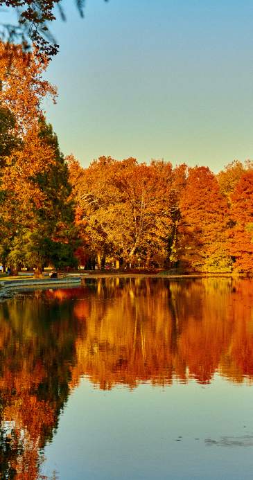 Take a Hike! 10 Places to See Amazing Fall Foliage