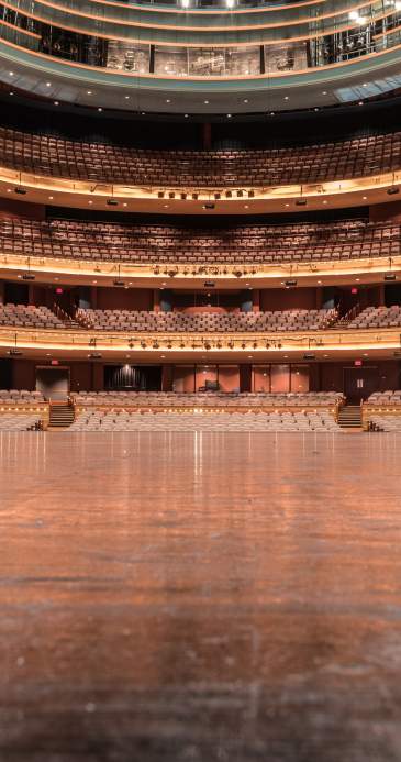 Discover the Unexpected: Brushstrokes, Broadway & Big Surprises