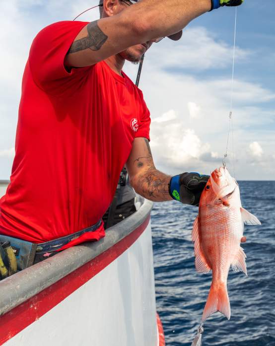 Your Guide to Snapper Season in Port Aransas