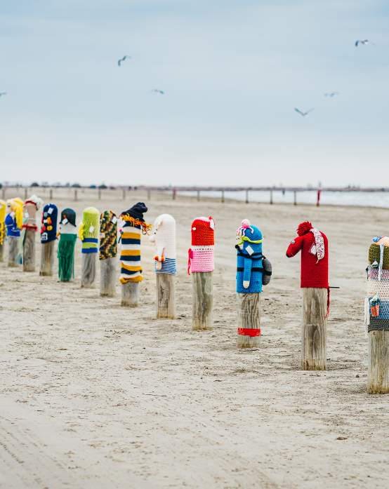 Bollard Buddies