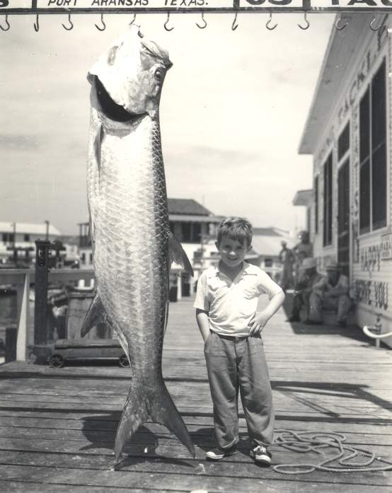 Mathew's Kid Tarpon-Museum