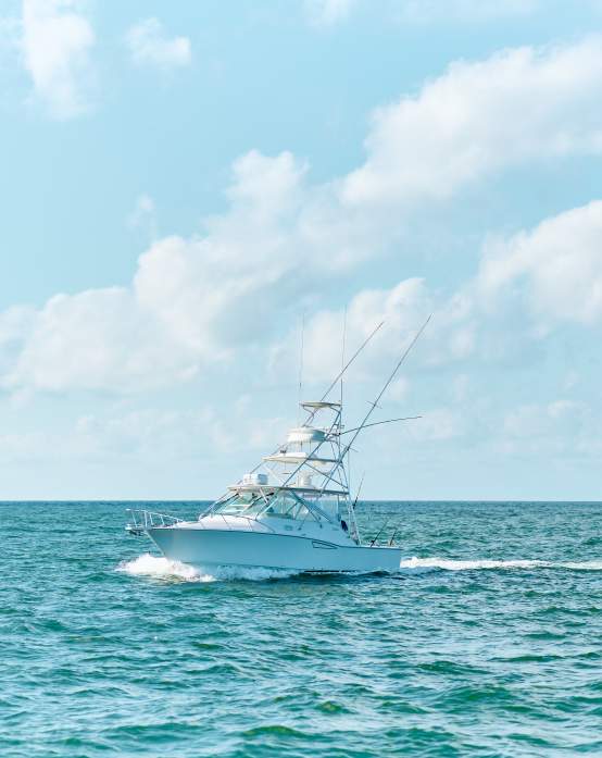 Clean, Cook, or Ship your Catch