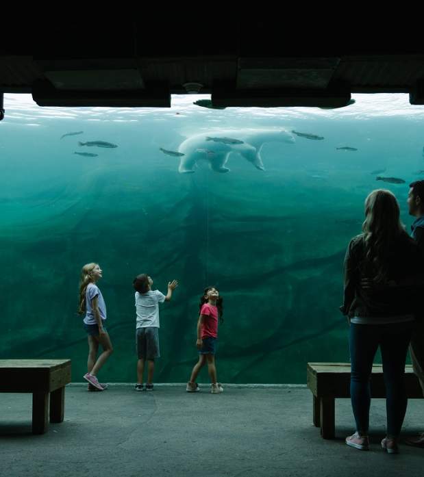 Polar Frontier - Columbus Zoo