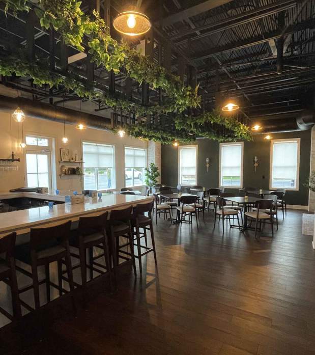 Stylish private dining room at Mezzo featuring a sleek bar, modern seating, hanging greenery, and large windows for natural light.