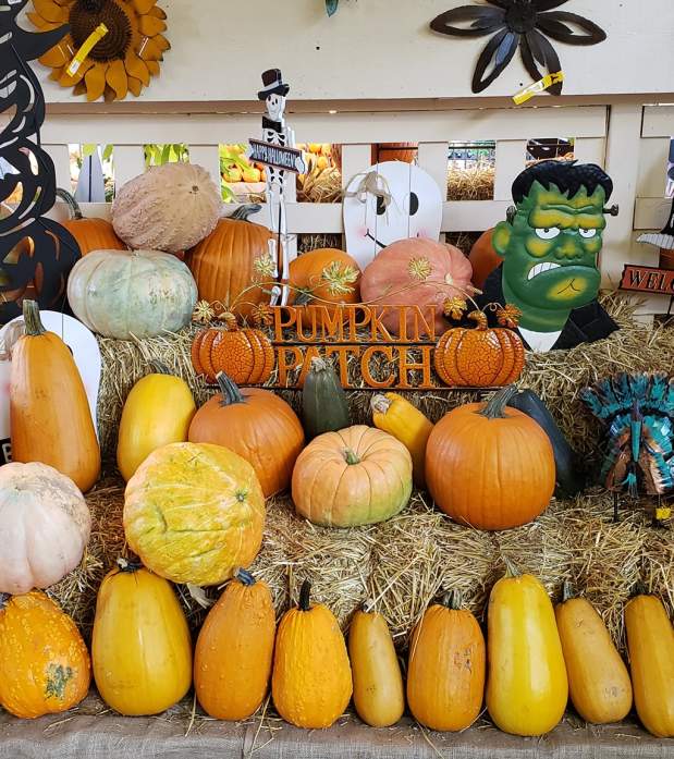 Oakland Nursery Fall Festival