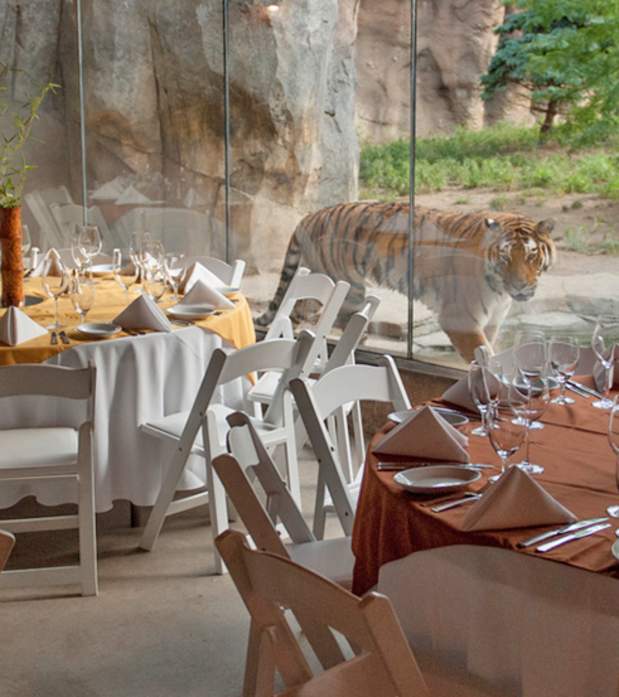 Zoo Meeting Space
