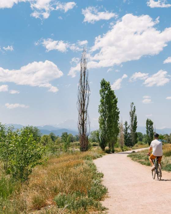 Fall in Longmont-From Dorm Drops to Day Trips